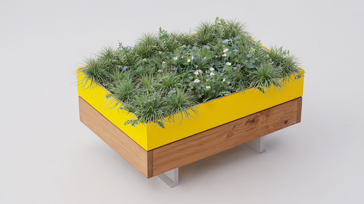 Noi Flower box